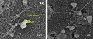 Researchers Study Use of Graphene Oxide in 3D Printed Concrete - 3D ...