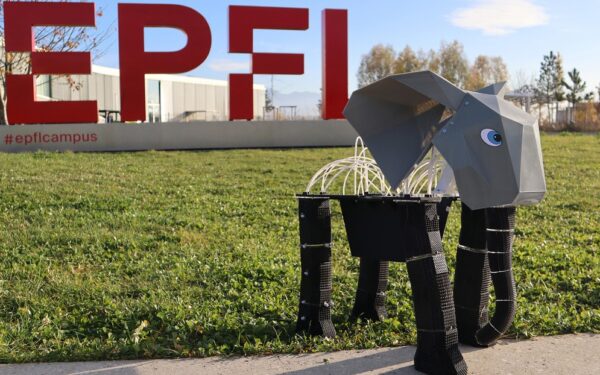EPFL Researchers Develop Programmable Lattice Structure for Robotics Using Single Foam Material