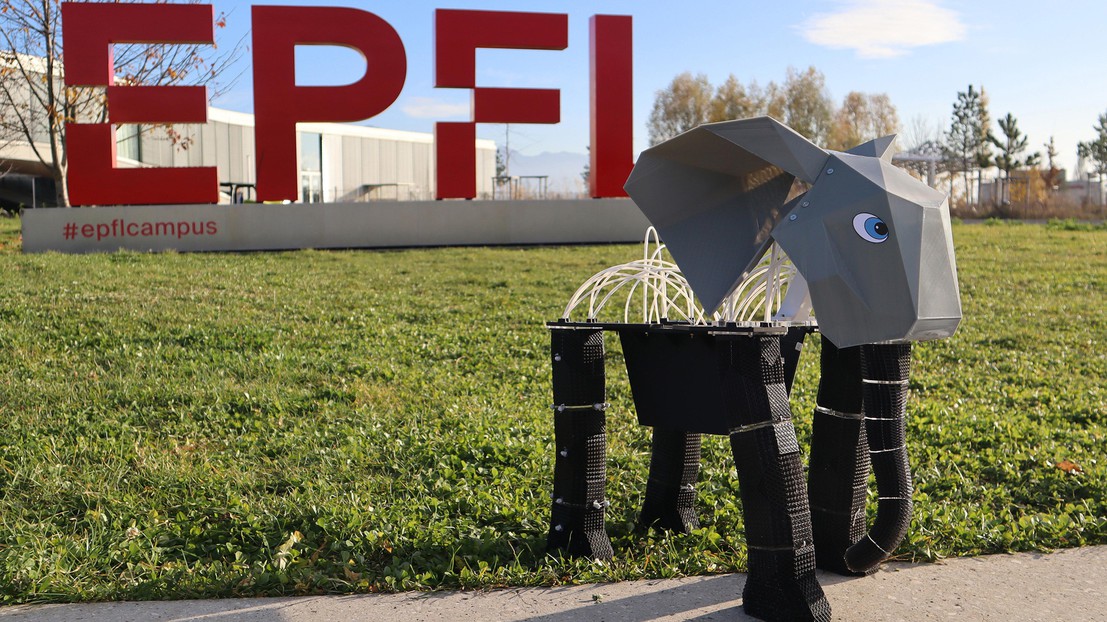 EPFL Researchers Develop Programmable Lattice Construction for Robotics Utilizing Single Foam Materials EPFL Researchers Develop Programmable Lattice Construction for Robotics Utilizing Single Foam Materials