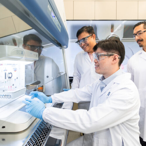 NUS Researchers Develop AI-Enhanced 3D Bioprinted Gum Grafts