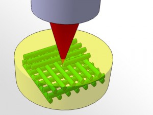 3D photografting