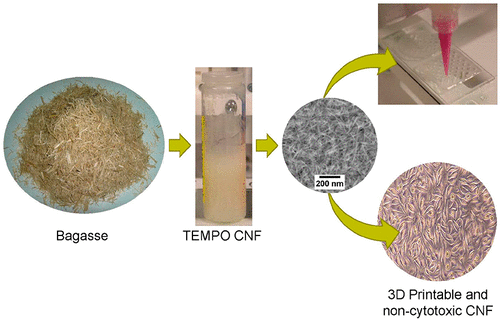 Bioink Bagasse