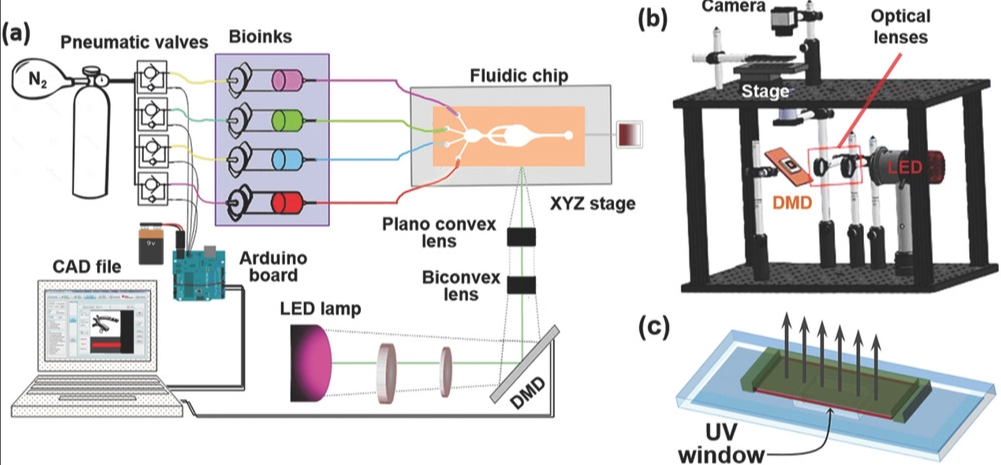 Bio-Printing Bioink 