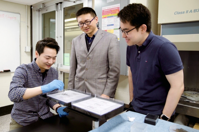 MIT 3D Printed Magnets Mimic Real Organisms - 3D Printing