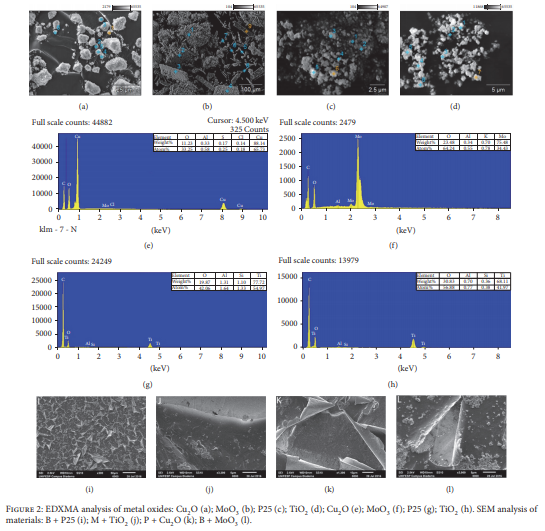 Scientist Process Plant-based Resins Into Anti-Bacterial Filament