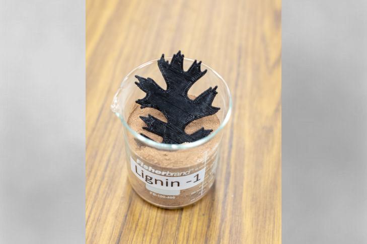 Lignin Composites Create Renewable 3D Printing Materials