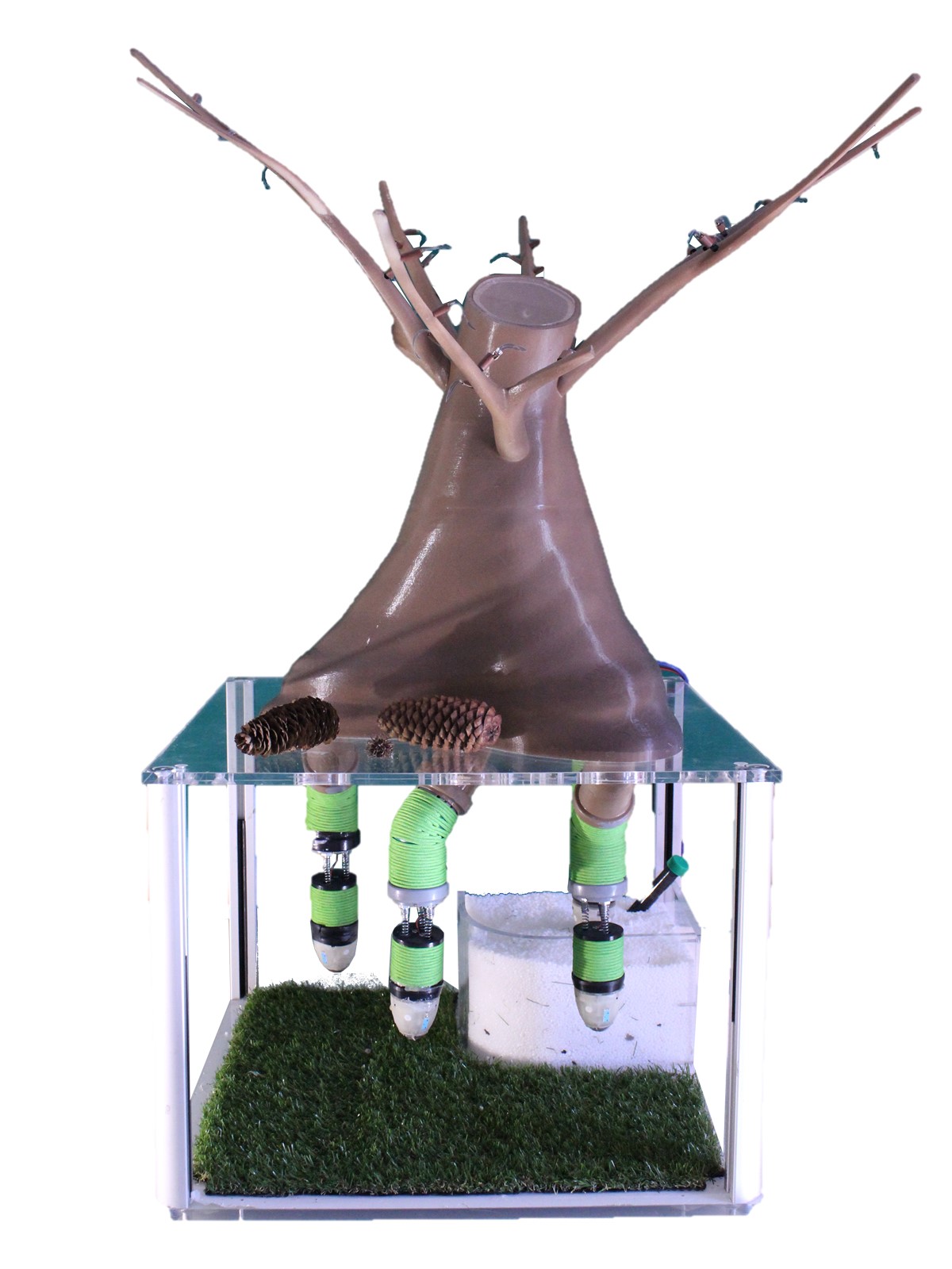 3D Printed Sensors Mimic Plant Roots For Soil Analysis