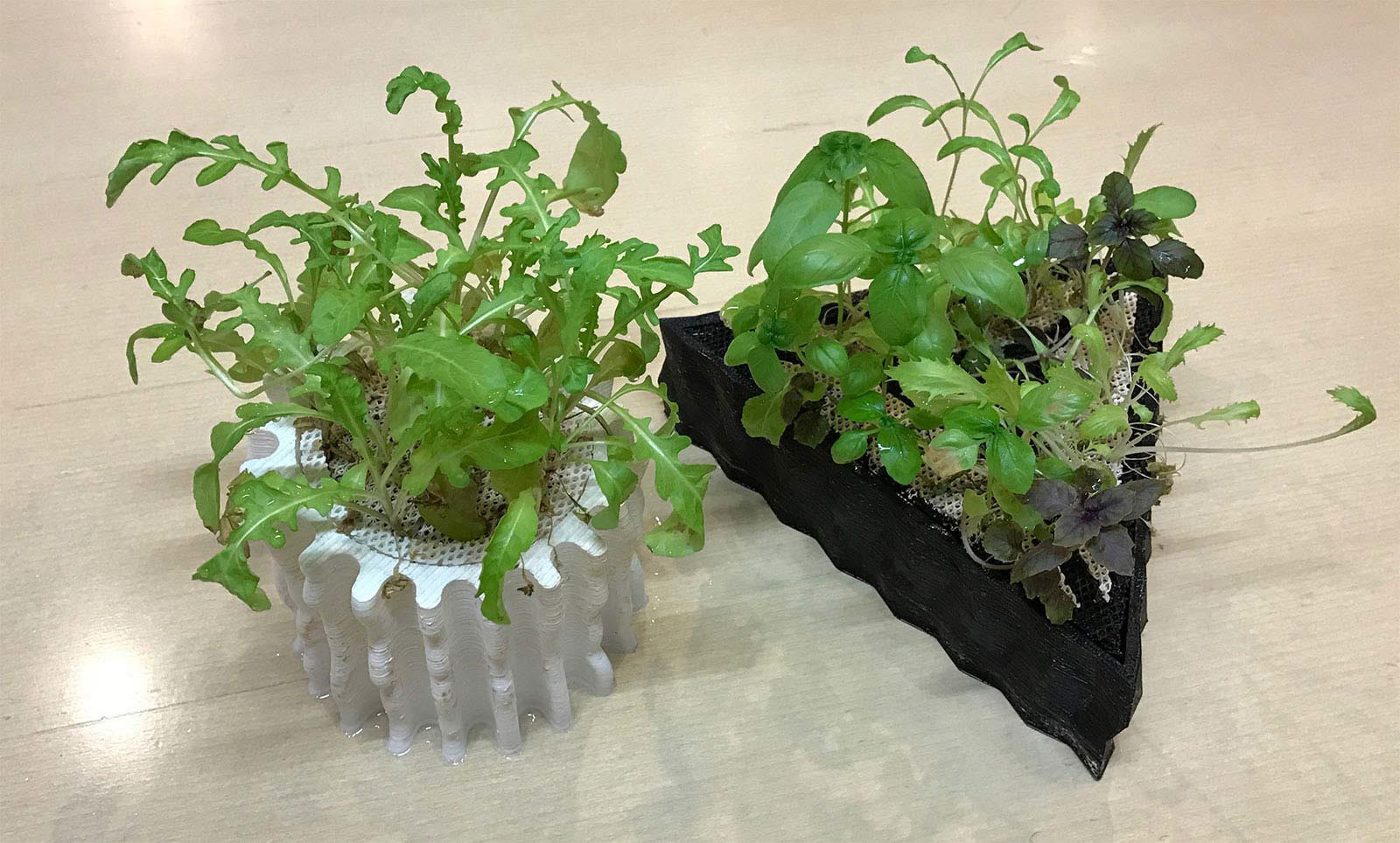 3D Printed Hydroponic Substrates examples