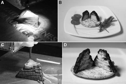 Infrared Cooking Food Printing