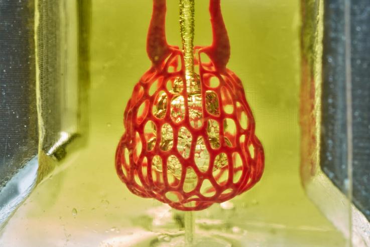 SLA Organ Printing Yields Results Using Food Dye