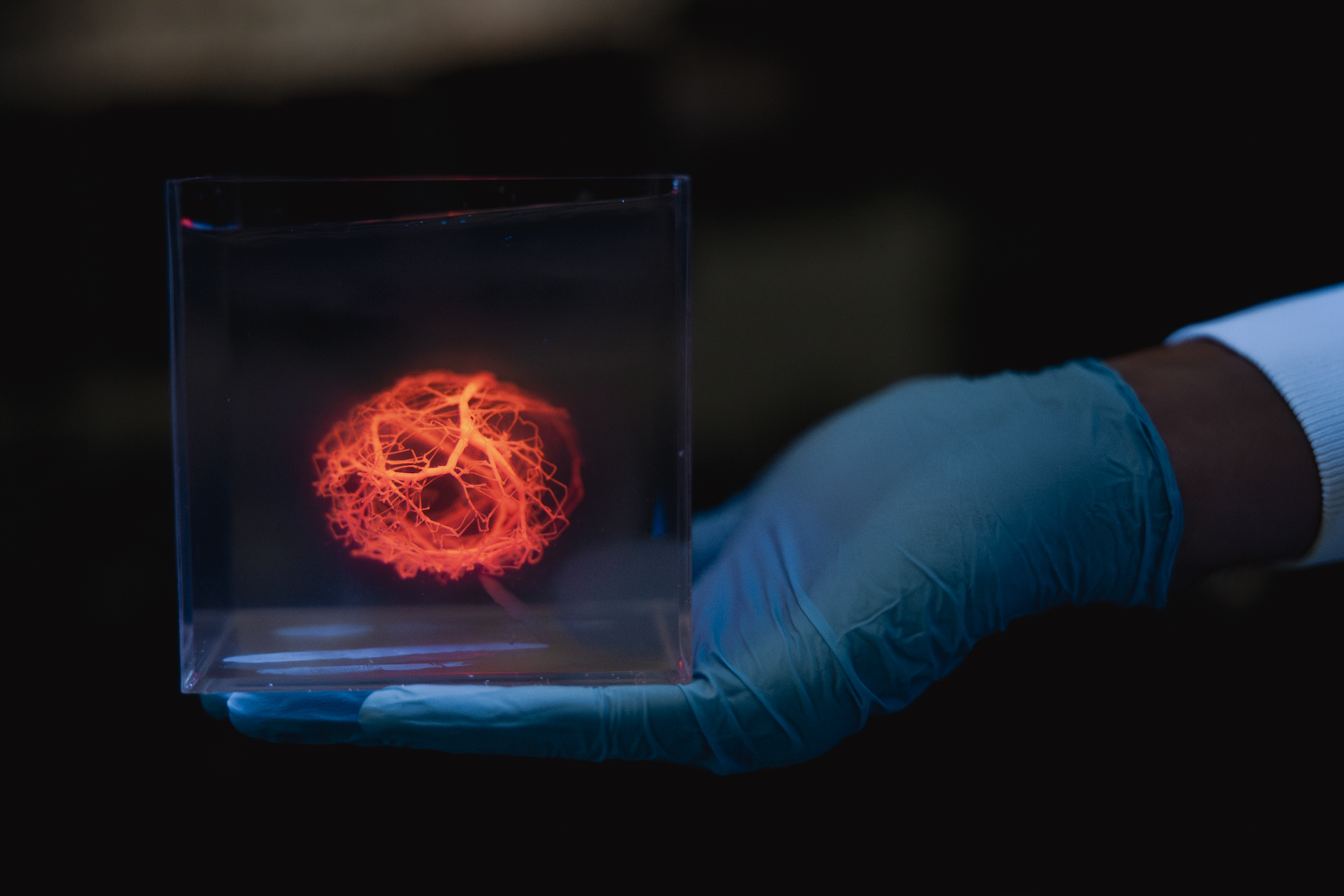 Stanford Researchers Develop New Method for 3D Printing Complex Vascular Networks