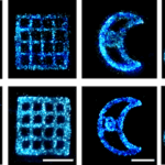 Researchers 3D Print Glowing Shapes Using Bioluminescent Algae Embedded in Hydrogel