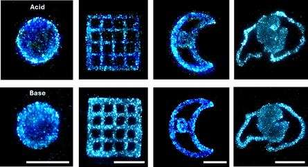Researchers 3D-Print Glowing Shapes Using Bioluminescent Algae Embedded in Hydrogel
