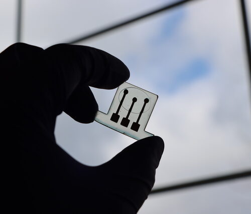 Dairy Farms Test 3D-Printed Sensors to Detect Milk Fever in Cows