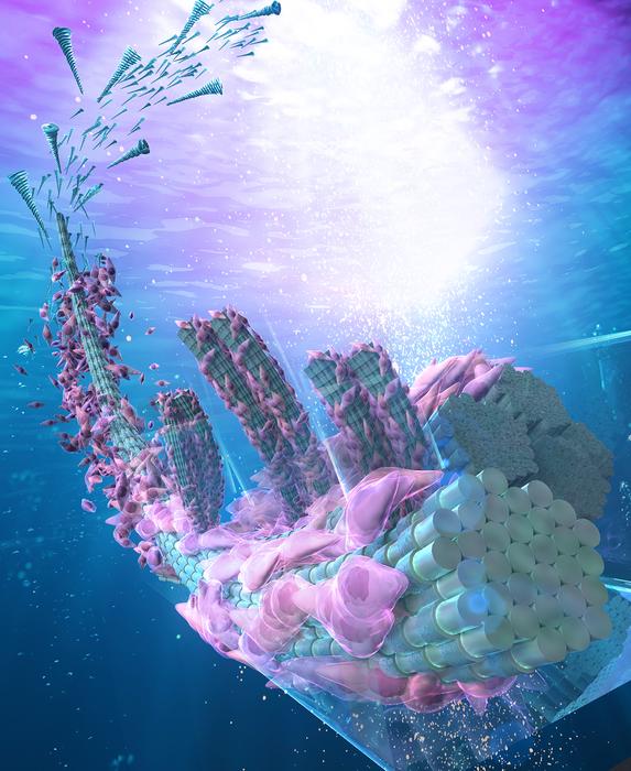3D Printing Breakthrough Enables Multi-Directional Collagen Tissue Fabrication