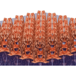 TDK to Acquire 3D Printing Firm Fabric8Labs for Up to $400 Million