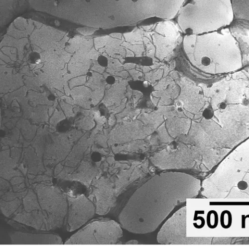 NIST Researchers Identify Quasicrystals in 3D Printed Aluminum Alloy
