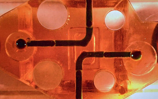 Researchers Grow Brain in 3D Printed Microfluidic Bioreactor