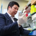 University of Hong Kong Scientists Explore Growing Organs with 3D Printing Technology