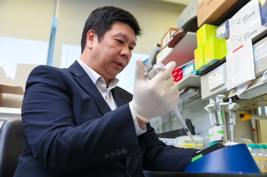 University of Hong Kong Scientists Explore Growing Organs with 3D Printing Technology