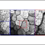 Argonne Studies 3D-Printed Stainless Steel for Nuclear Reactor Applications