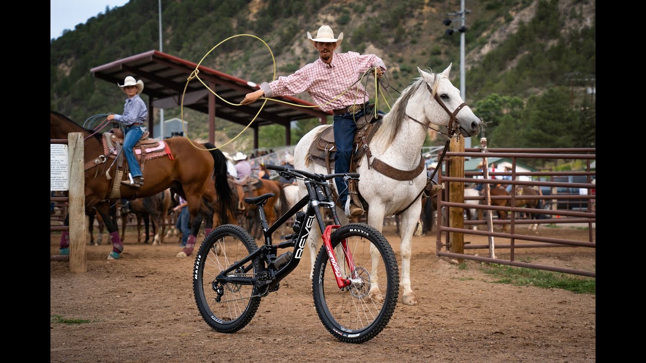 carbon fiber downhill mountain bike