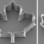 Researchers Use Mosquito Feeding Tubes as Ultra-Fine 3D Printing Nozzles