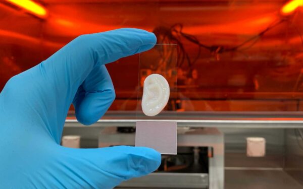 Researchers Develop 3D Printed Lab-Grown Ear Cartilage