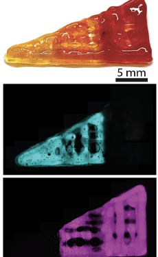 3D Printed Customizable Hydrogel Shows Promise for Meniscus Injury Treatment