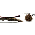 MIT turns pine-cone mechanics into 3D-printable adaptive materials