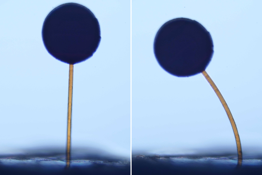 MIT Researchers 3D Print Microscopic Robots That Snap to Attention With a Magnet Swipe