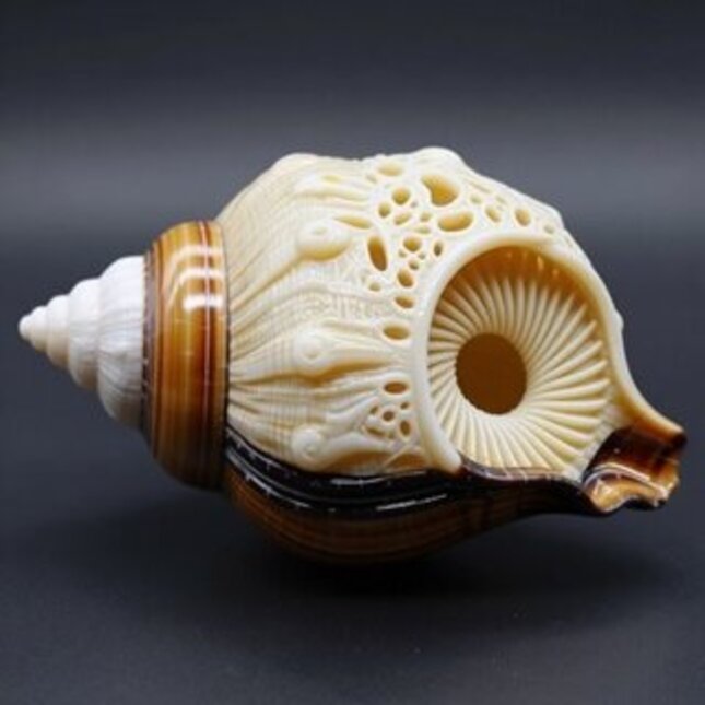 TU/e Partners with Motion Imager on Volumetric 3D Printing for Complex Manufacturing