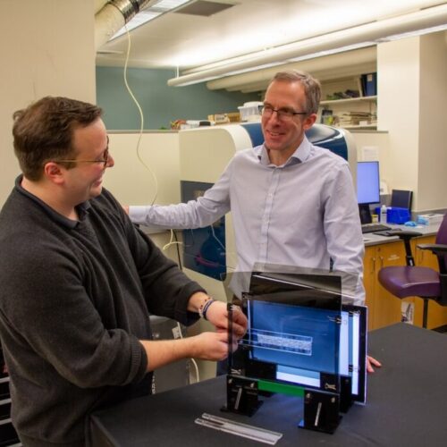 Nature-inspired Disorder Makes 3D Printed Parts More Resistant to Cracks