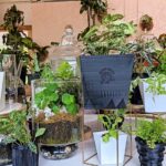 3D Printed Self-Watering Planters by Posie Pots