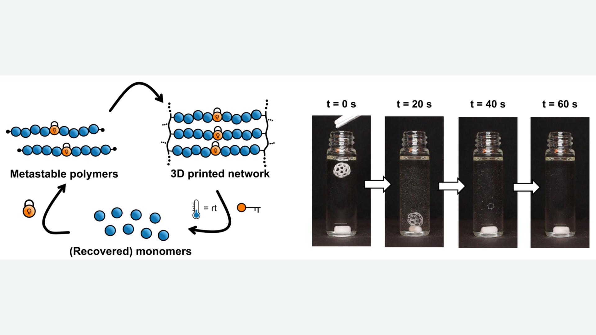 Heidelberg Team Designs Recyclable Polymer for Light-Based 3D Printing