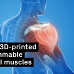 Harvard's 3D-Printed Filaments Mimic Muscle, Bending and Twisting on Command