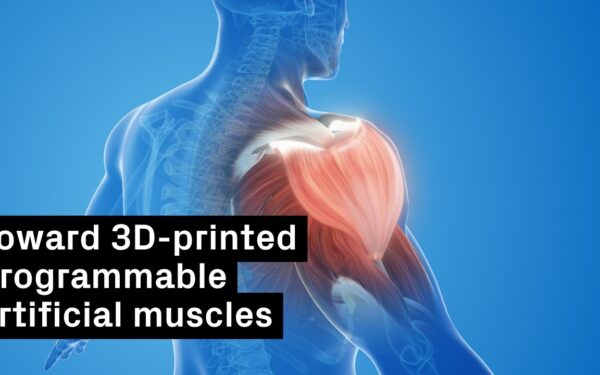 Harvard’s 3D-Printed Filaments Mimic Muscle, Bending and Twisting on Command