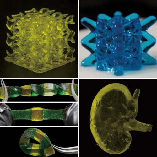 University of Virginia Researchers Develop Stretchable 3D Printable ...