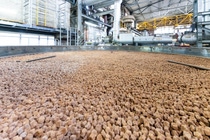 BASF Starts Up World's First Industrial-Scale 3D Printed Catalyst Plant in Ludwigshafen