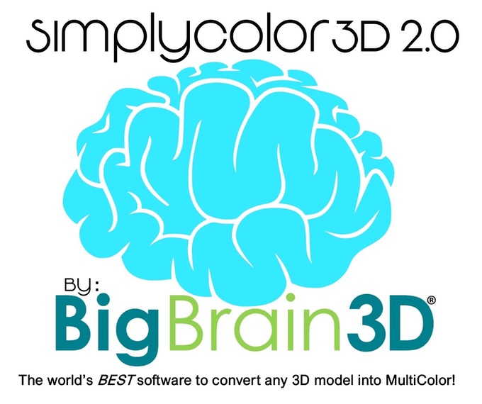 BigBrain3D