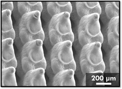 3D Printed Copper Cold Plates Could Cut Data Center Cooling Energy by ...