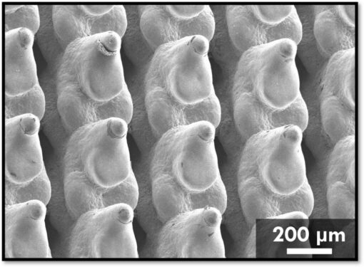 3D Printed Copper Cold Plates Could Cut Data Center Cooling Energy by ...