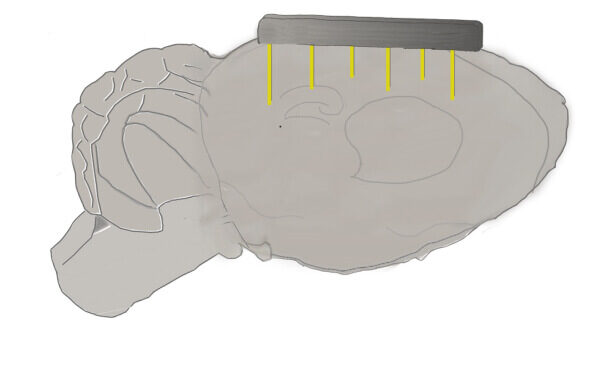 Researchers Print Nanoscale Brain Electrodes