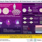 Pusan National University team creates 3D-printable ink that lets soft actuators both stretch and contract