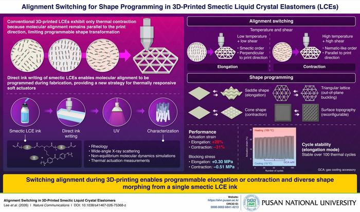 Pusan National University team creates 3D-printable ink that lets soft actuators both stretch and contract