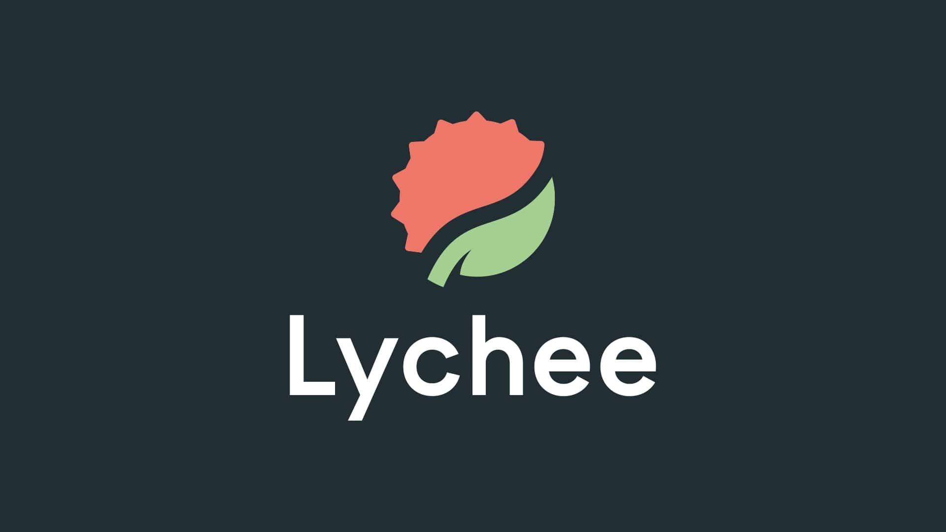 Lychee Slicer polished resin slicer with smart auto-orientation and advanced supports for jewellery and miniatures