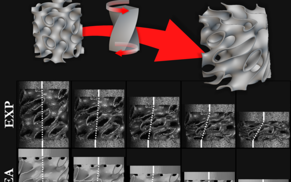 Researchers Develop 3D Printed Metamaterial That Adapts to Different Impact Severities
