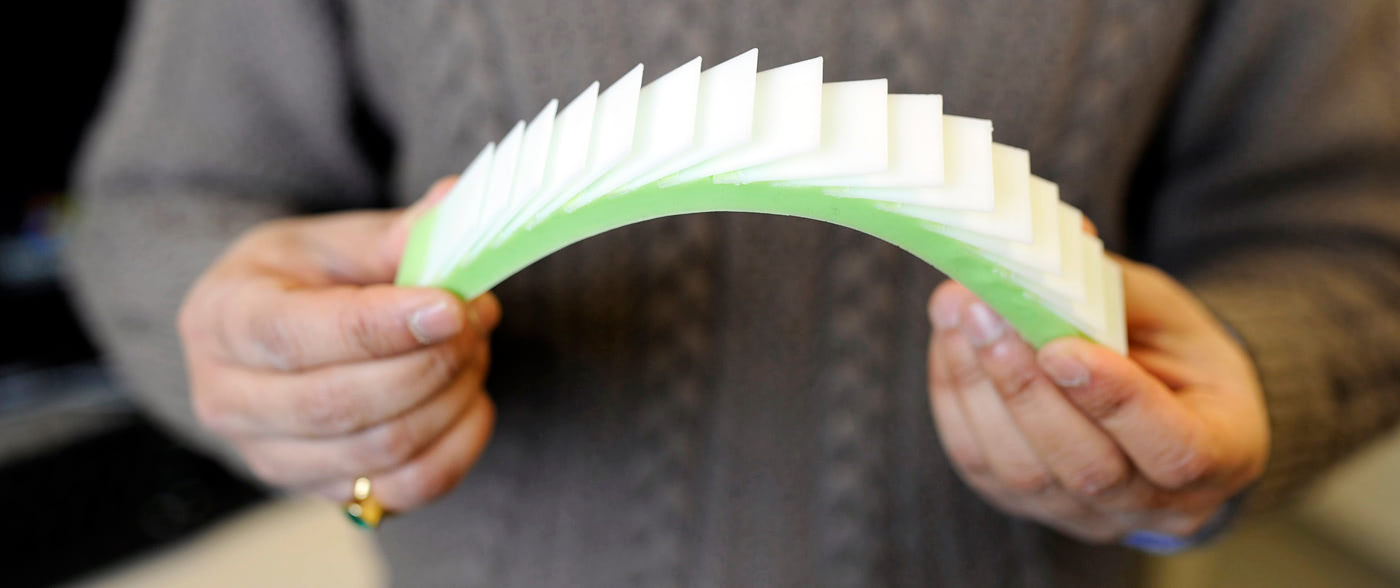 Ranajay Ghosh holds a 3D printed model of a fish scale