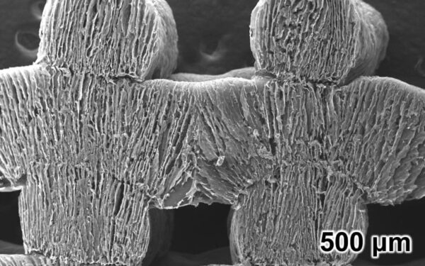 Scientists 3D Print Solar-Powered Sponge for Seawater Desalination
