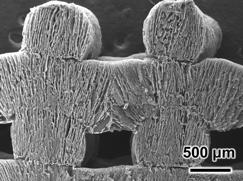 Scientists 3D Print Solar-Powered Sponge for Seawater Desalination